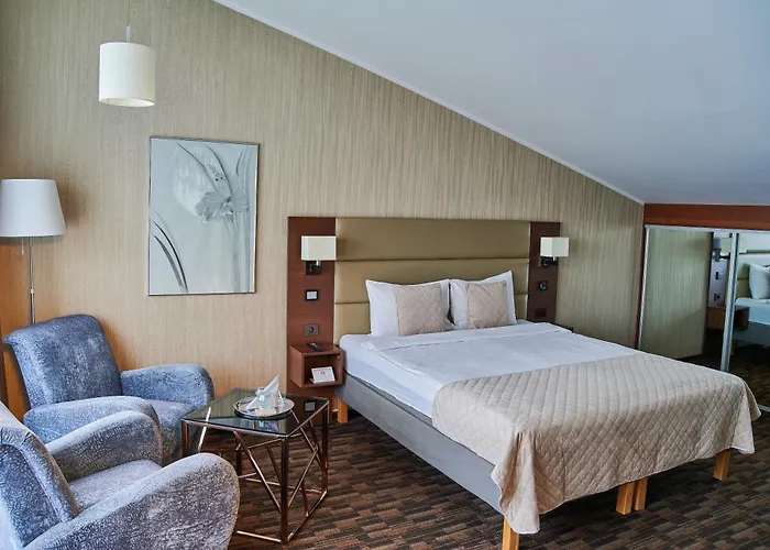 מלון Olympus קובנה